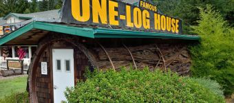 One-Log House