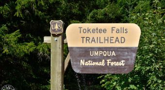 Wanderweg, Toketee Falls